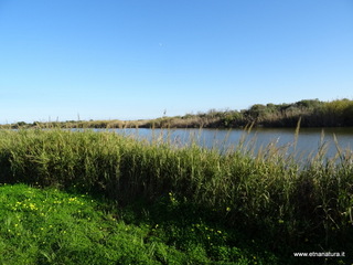 Oasi del Simeto